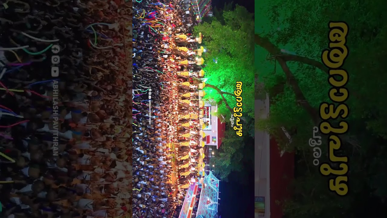 ആറാട്ടുപുഴ പൂരം 2025&hearts;️ #arattupuzhapooram #arattupuzha #pooram #melam #aanapremi #devi #devotional