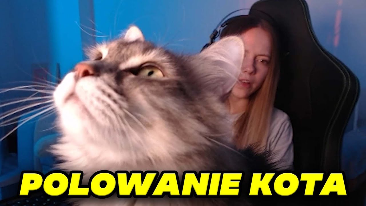 KOT RATUJE KASIX