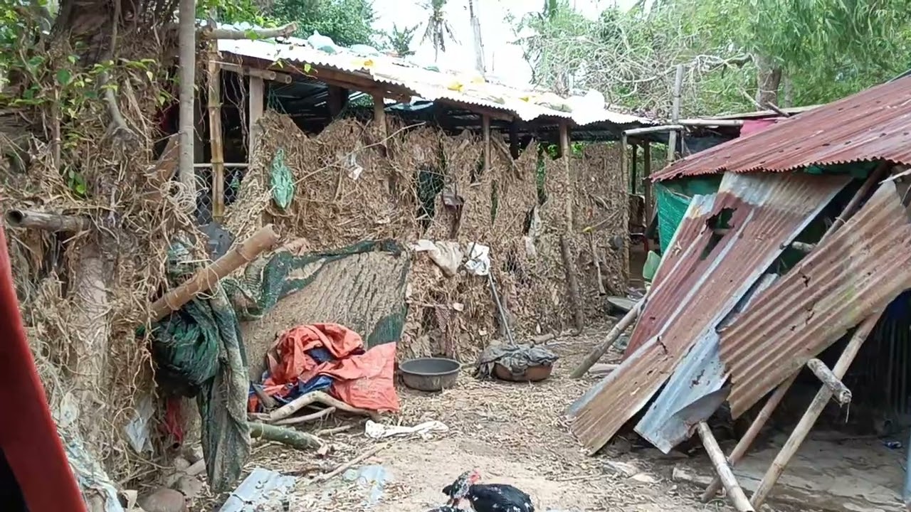 TAN HOANG SAU TRẬN LŨ DỮ 19/11 /25, ĐAU XÓT KHI NHÀ CỦA CHỊ HƯ HẠI SAU TRẬN LŨ LỊCH SỬ