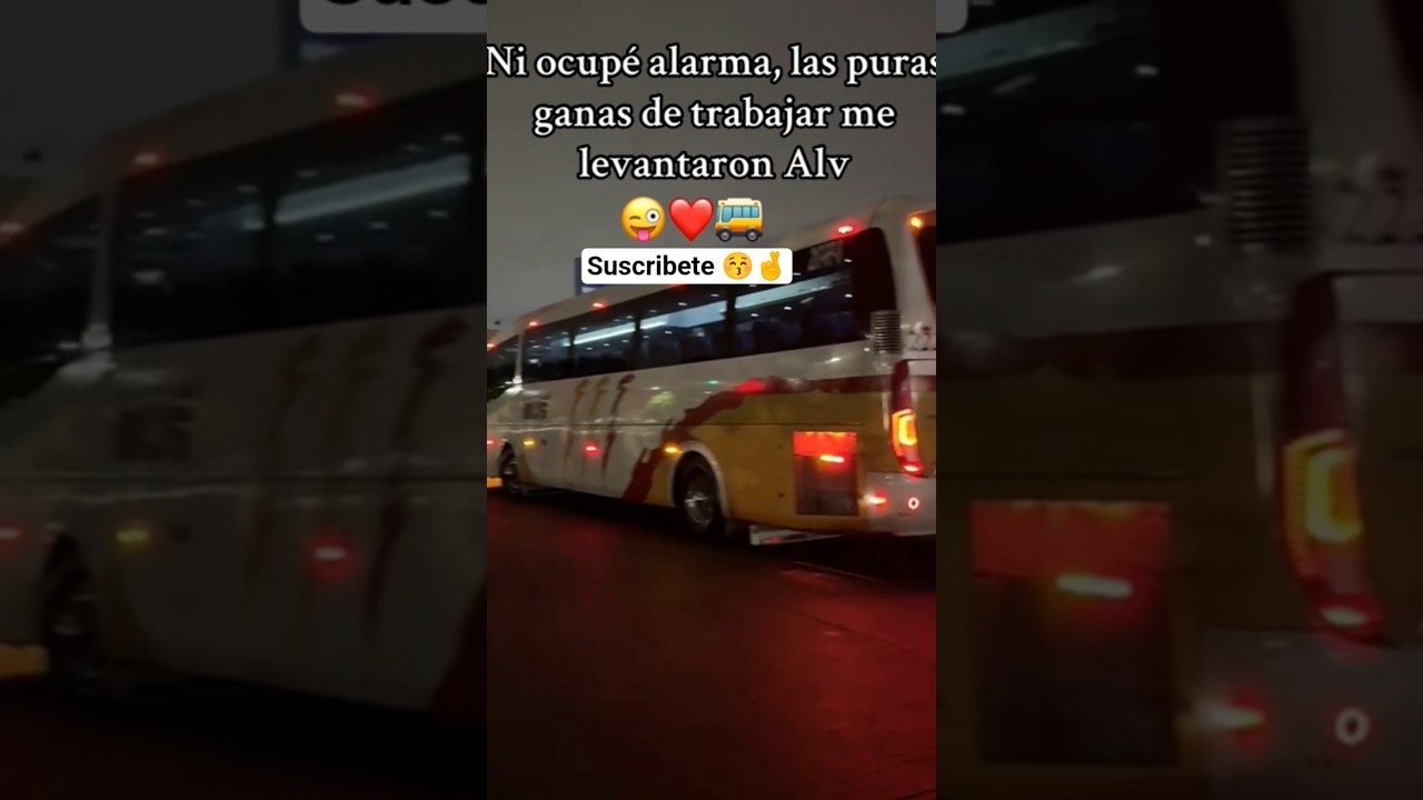 autobuses#autobusesmexicanos#bus#ado#buses#viral#auto#conductor#au#shorts#busologia#youtube #humor
