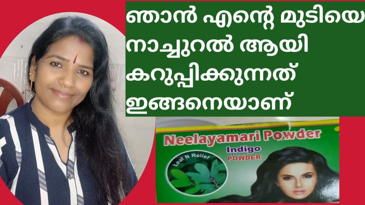 നീലയമരി കൊണ്ട് നാച്ചുറലായി നരച്ച മുടിയെ കറുപ്പിക്കാം | Neelayamari natural hair die