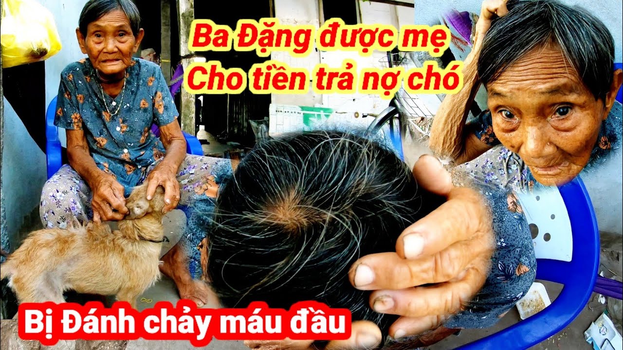 Bà đặng được mẹ cho tiền trả nợ mua chó.có không bị đánh chảy máu đầu
