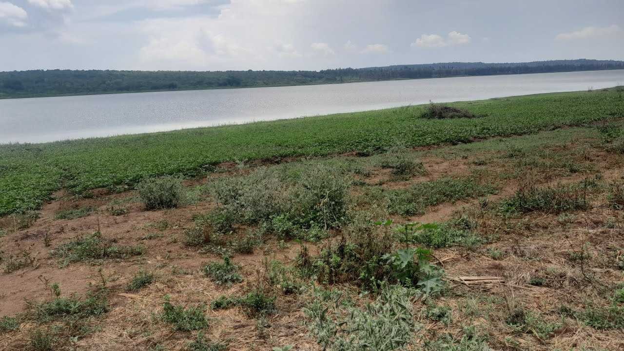 UBUTAKA BUGURISHWA HAFI YA MAZI KURI KIRA VIDEO 0788695601