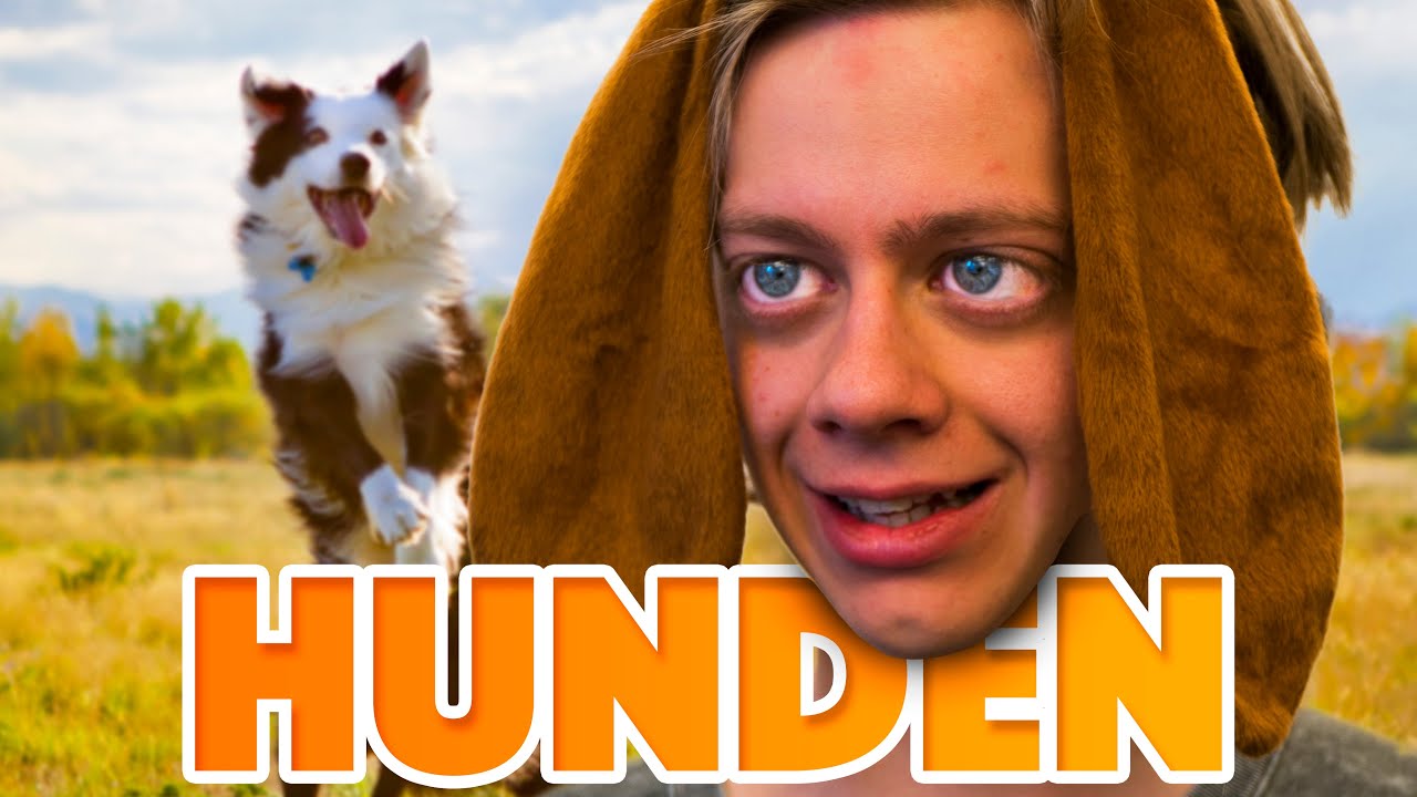 F&ouml;rdelarna med att vara hund