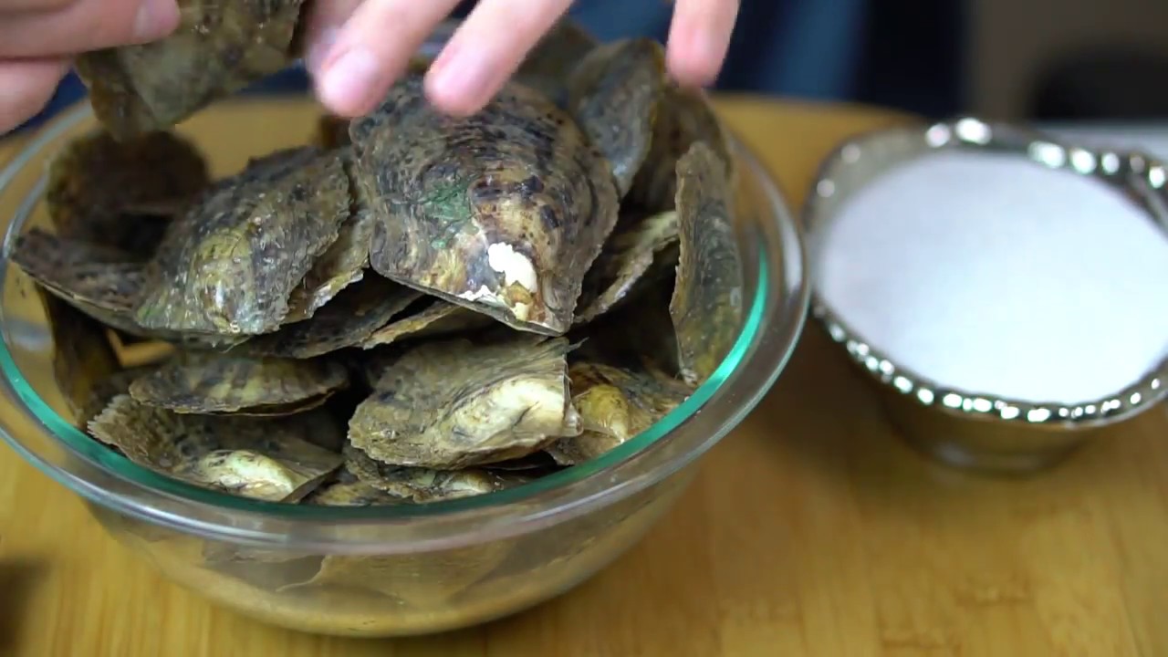Oysters with Beautiful Pearls!!!