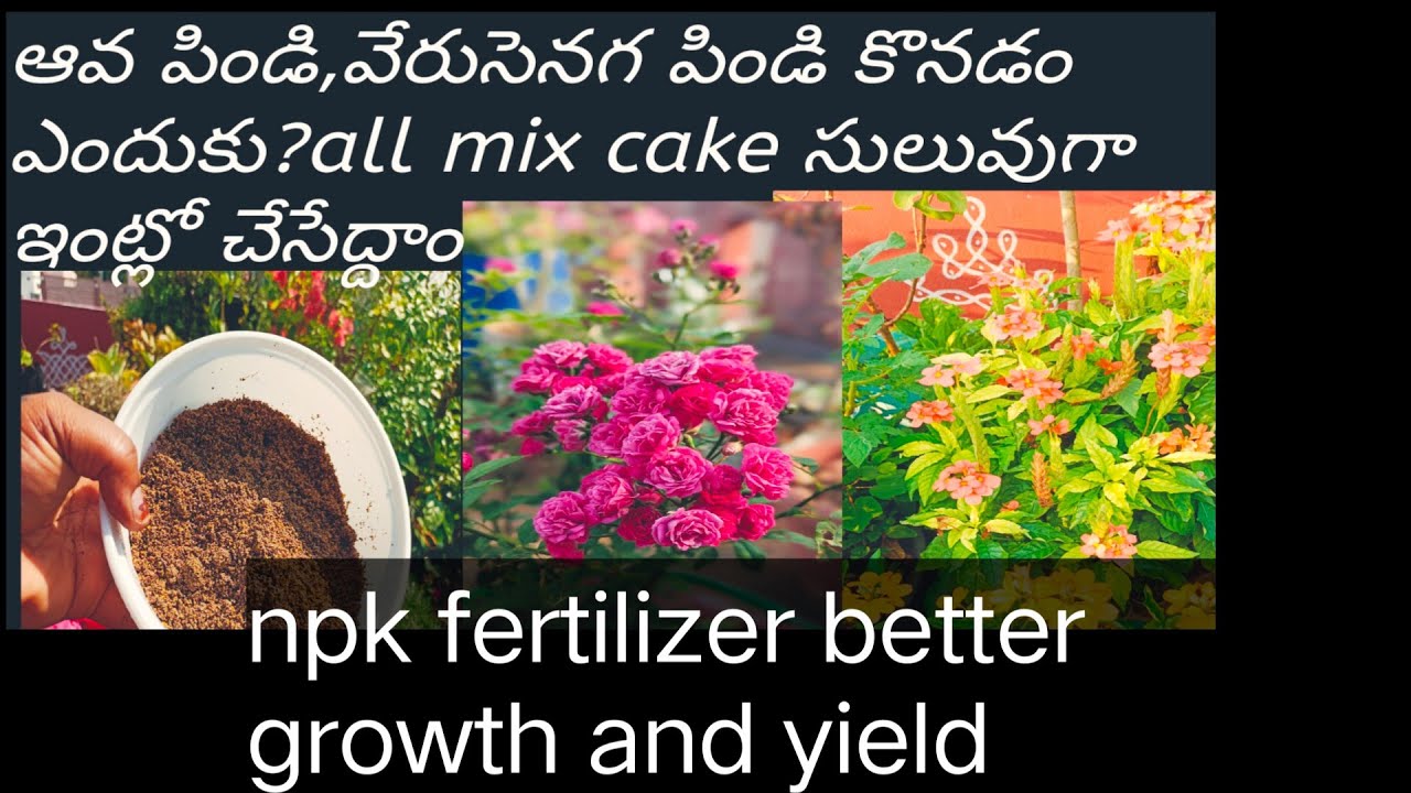Mixed organic fertilizer for better growth and yield | In Telugu