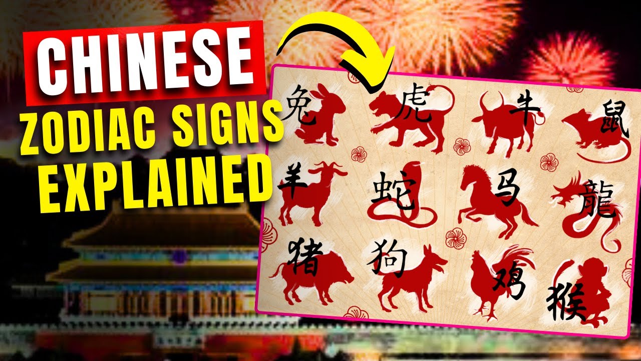 The Chinese Zodiac Explained Secrets Behind Your