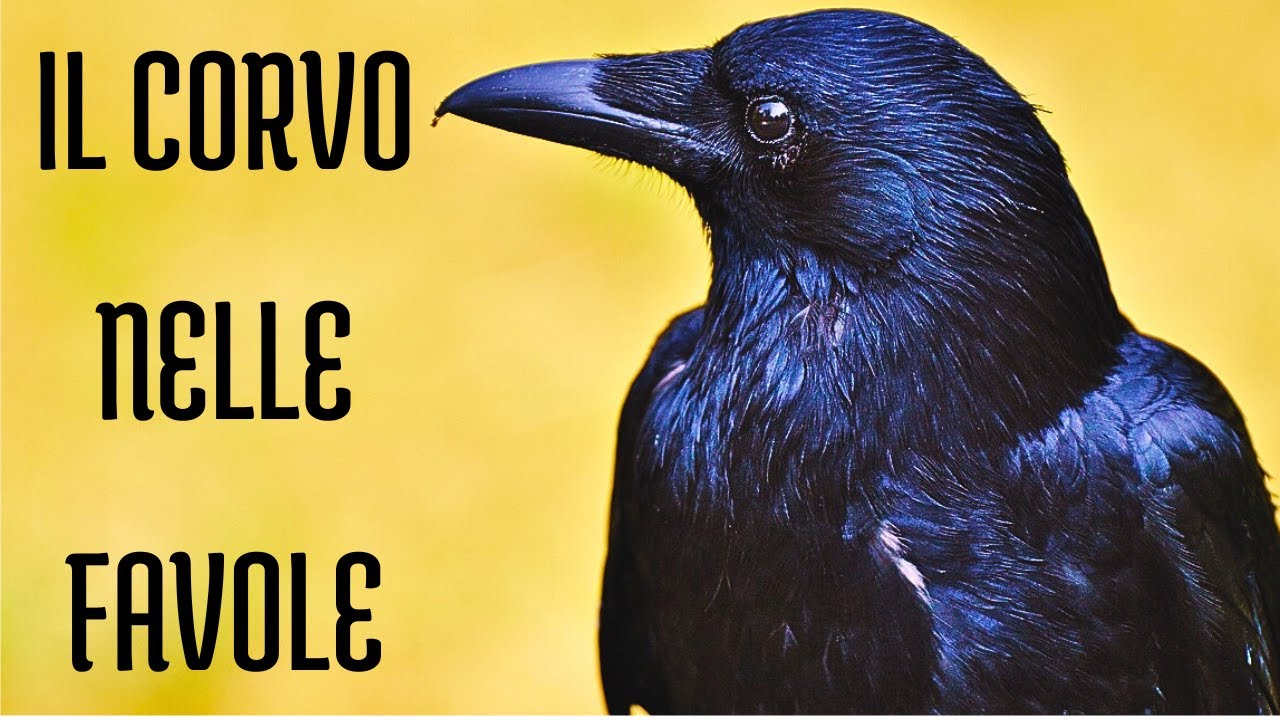 IL SIMBOLO DEL CORVO NEI MITI E NELLE FAVOLE