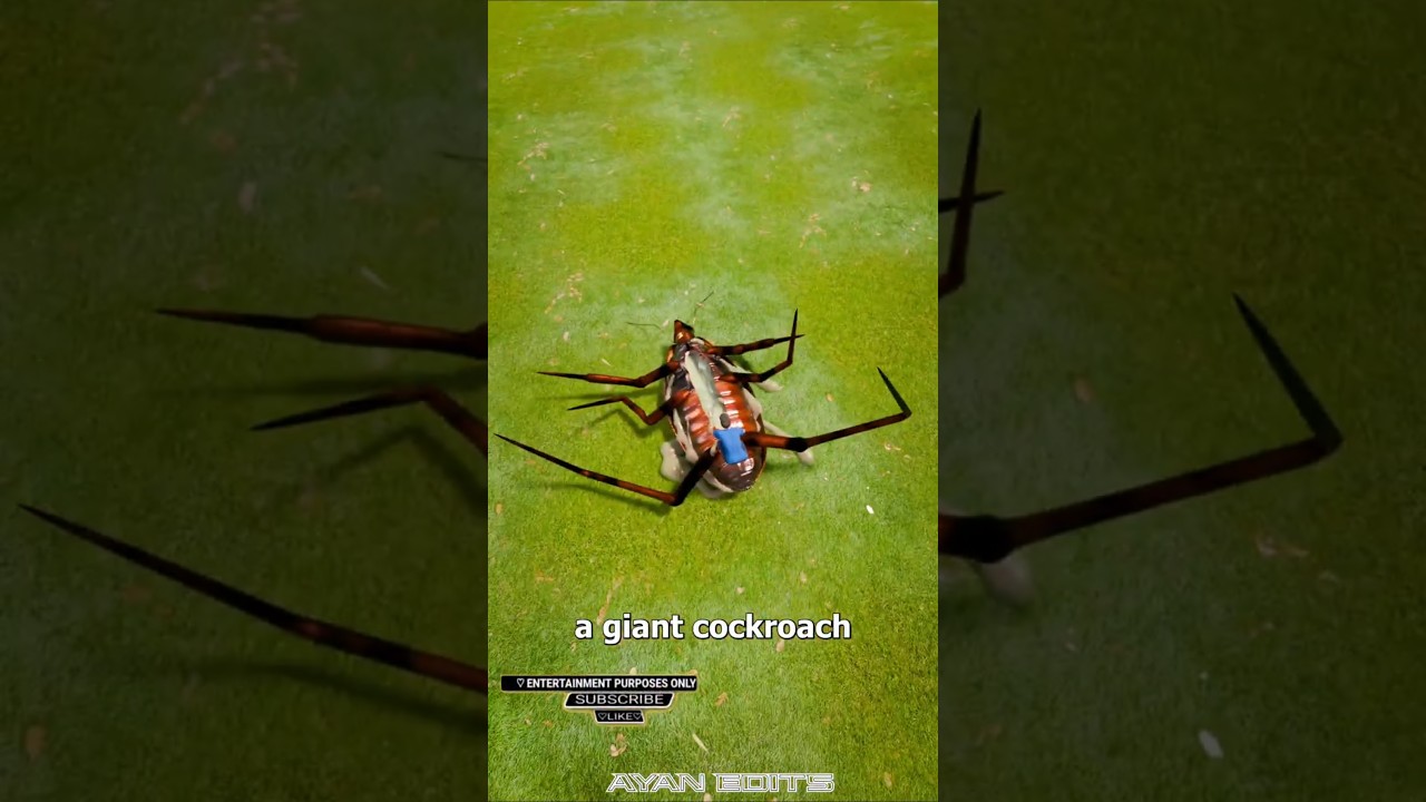 POWER OF ALLAH ☝️