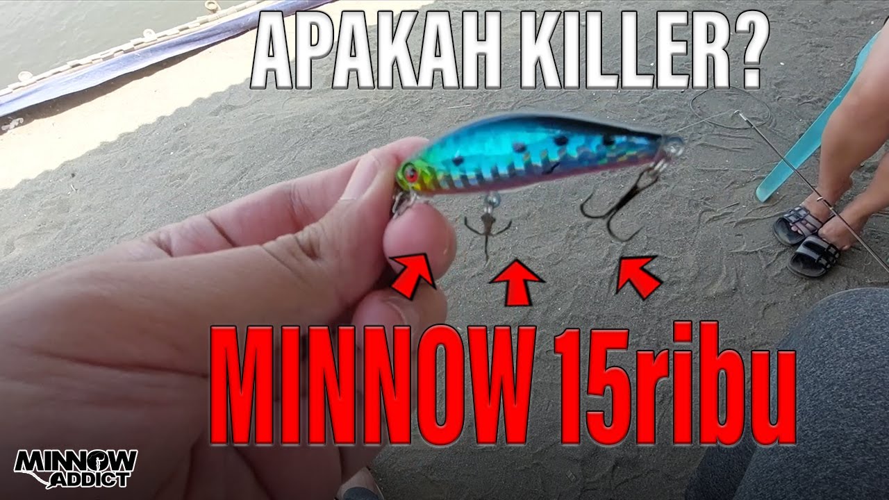 minnow murah killer? info warna minnow paling amis,minnow murah apakah worth it? kita tes gaes..