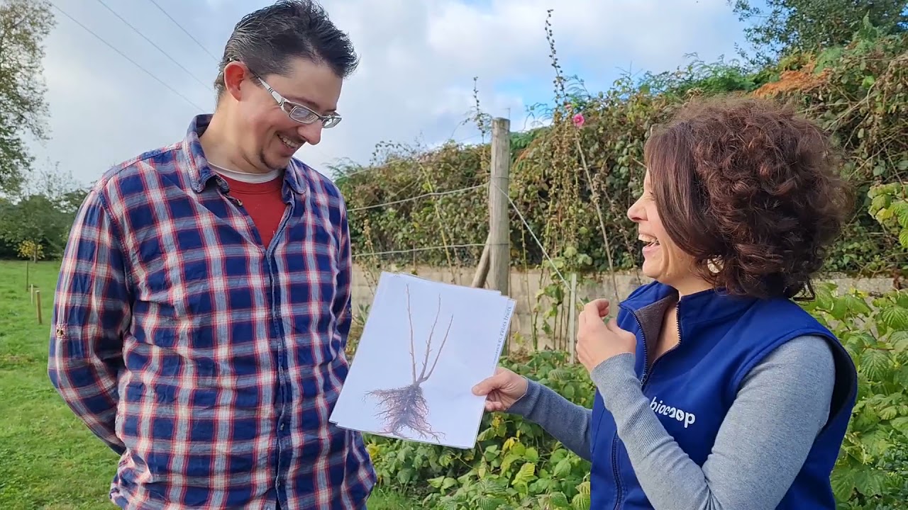 Ti Lipouz - Pépinière d'arbustes fruitiers en Bretagne