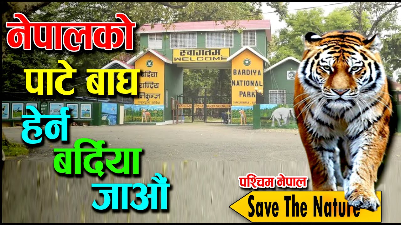 Bardiya National Park #westnepal #thakurdwara #bardiya #nepal 