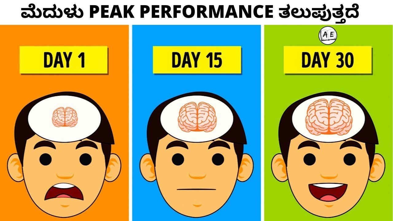 How to Increase Focus and Brain Power (Kannada) | 3 Steps to Become a Genius | almost everything