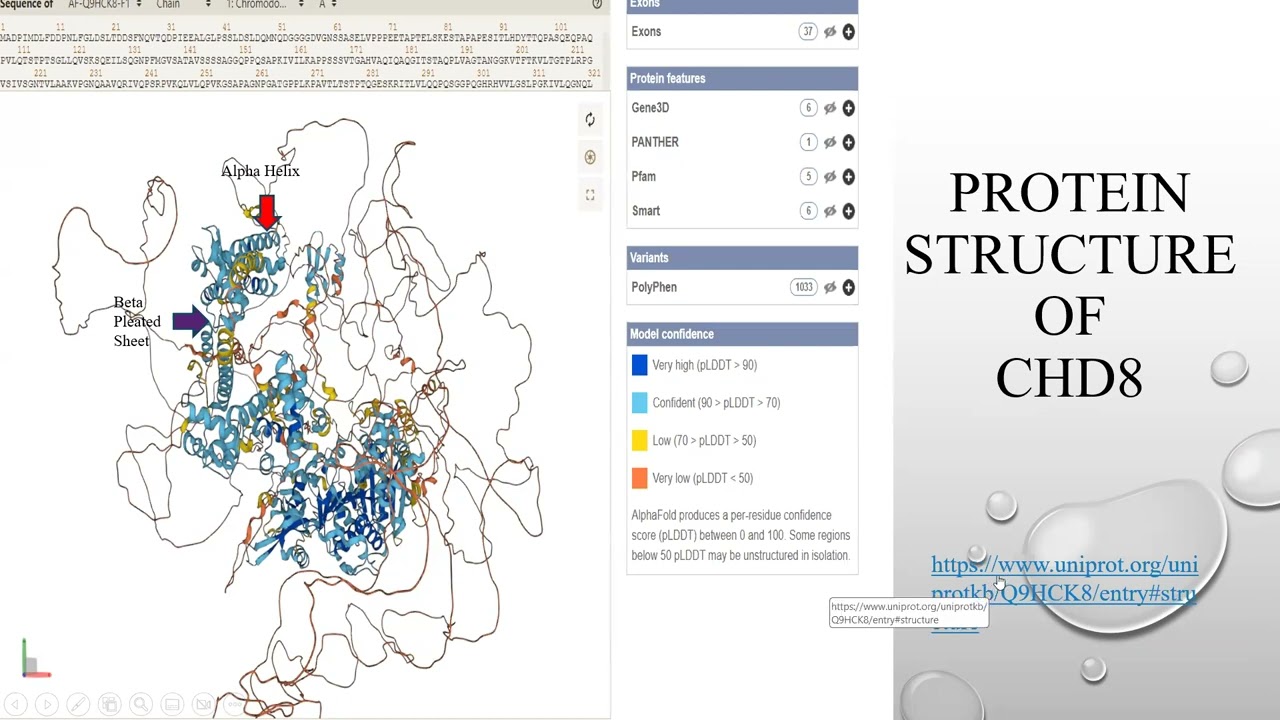 Bioinformatics Presentation