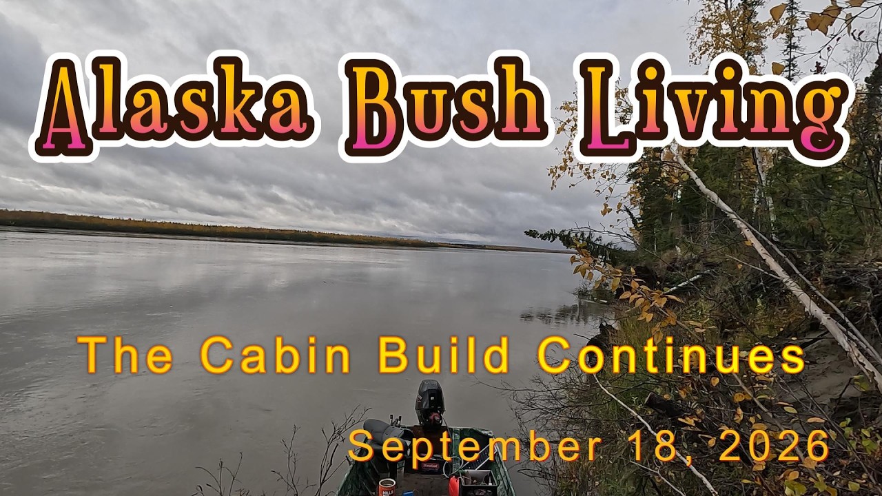 Cabin Build Continues - Alaska Bush Living - Remote off grid life in the Last Frontier