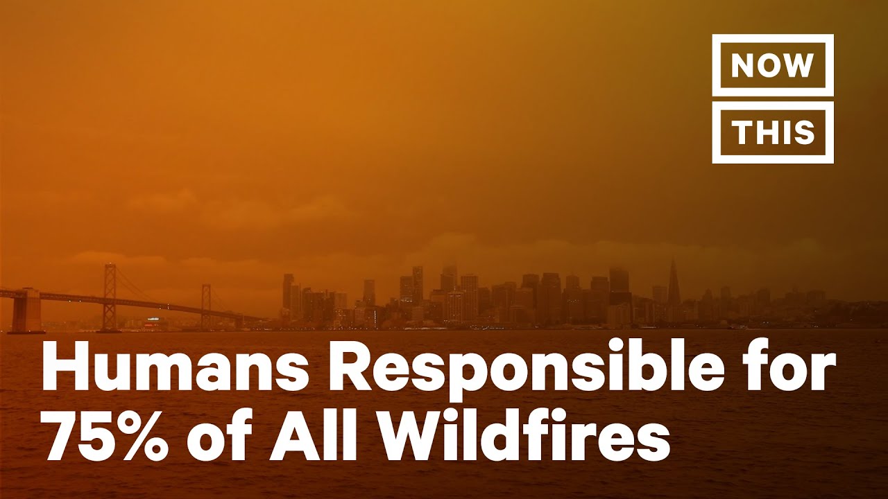 How Humans and Climate Change Are Making Wildfires Worse | NowThis Earth