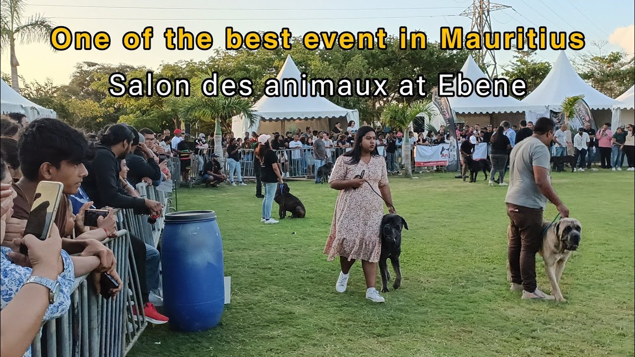 Salon des animaux at Ebene Recreational Park | one of the best Event in Mauritius 🇲🇺