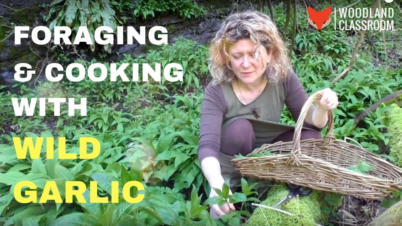 Foraging & Cooking with Wild Garlic
