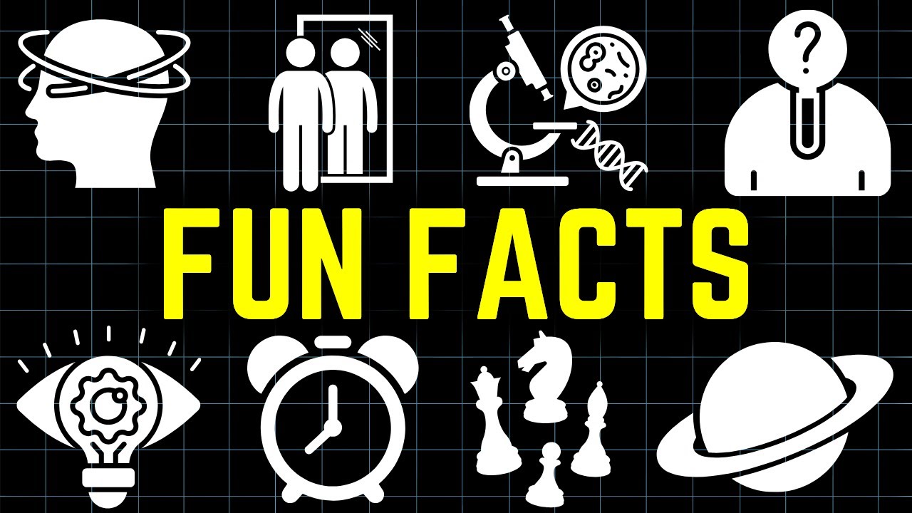 3 Hours of Random Fun Facts To Fall Asleep to