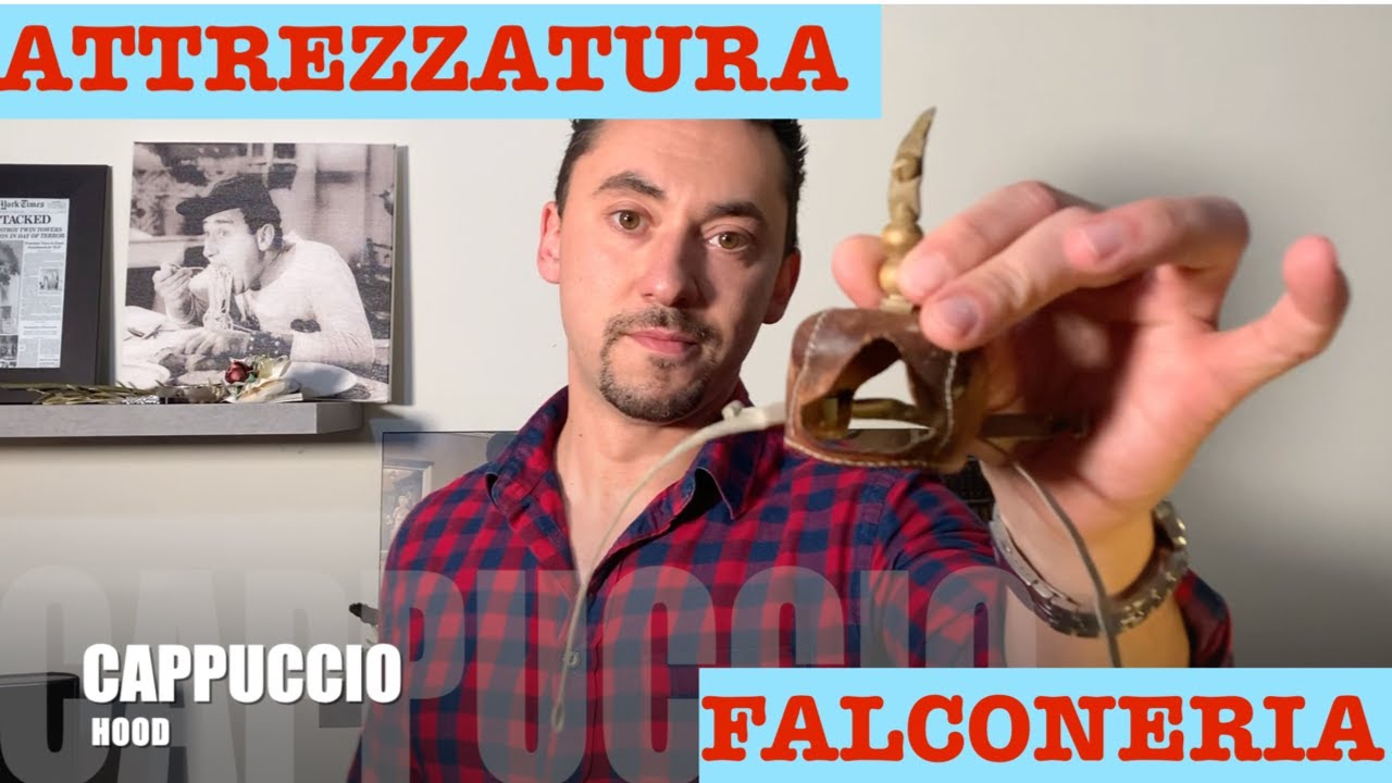 Introduzione alla Falconeria: attrezzi indispensabili per l'arte di addestrare a caccia un rapace