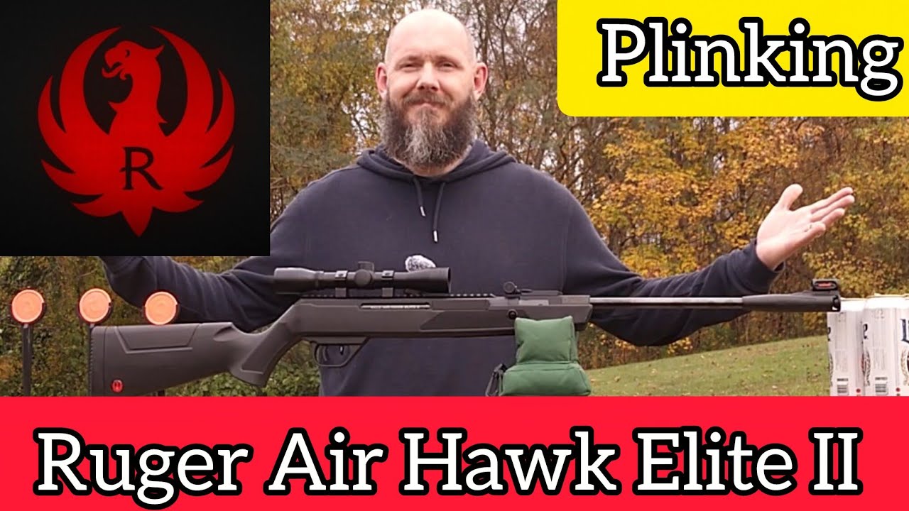Плинкинг с Ruger Air Hawk Elite II | Тест на точность на заднем дворе!