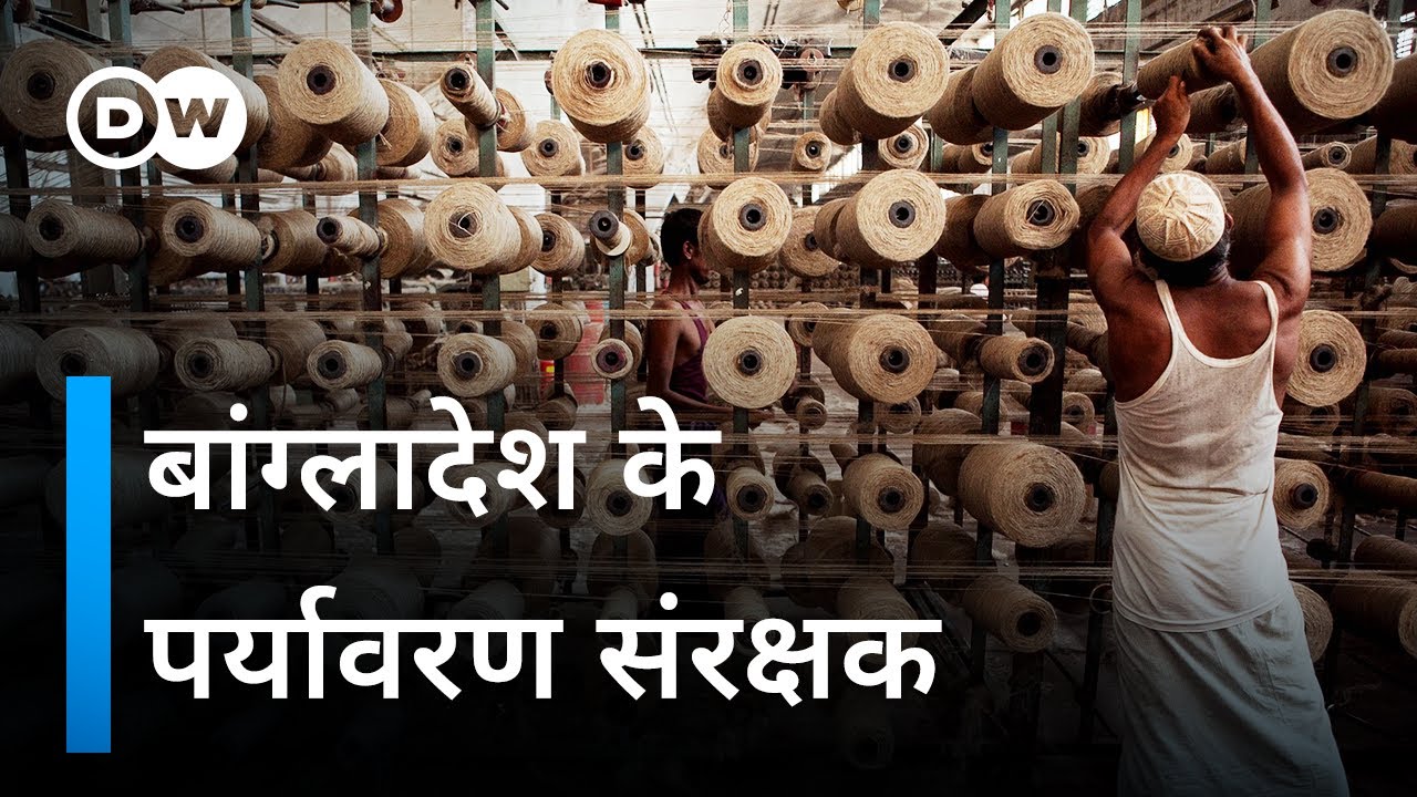बांग्लादेश: क्या जूट से होगी पर्यावरण क्रांति की शुरुआत? [Jute Farming] | DW Documentary हिन्दी