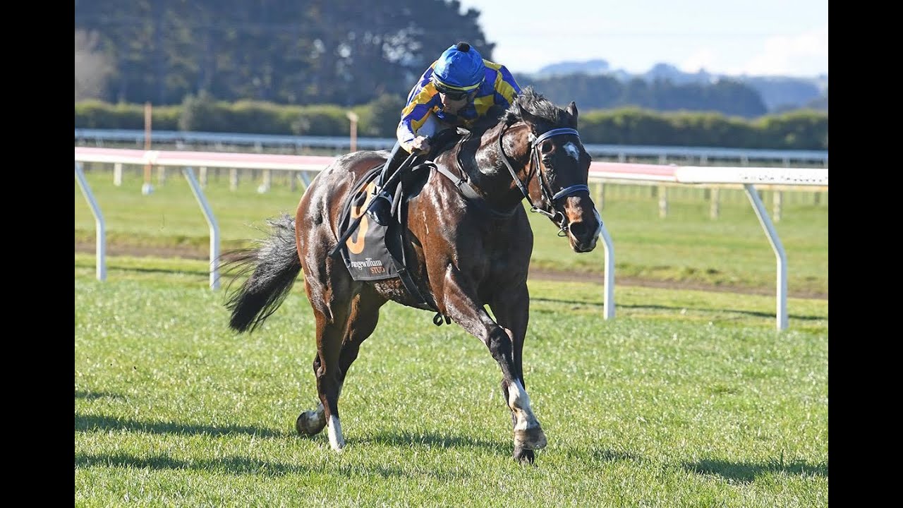 NEW ZEALAND RACE MEETING 23/08/2025 HAWERA RACE 6