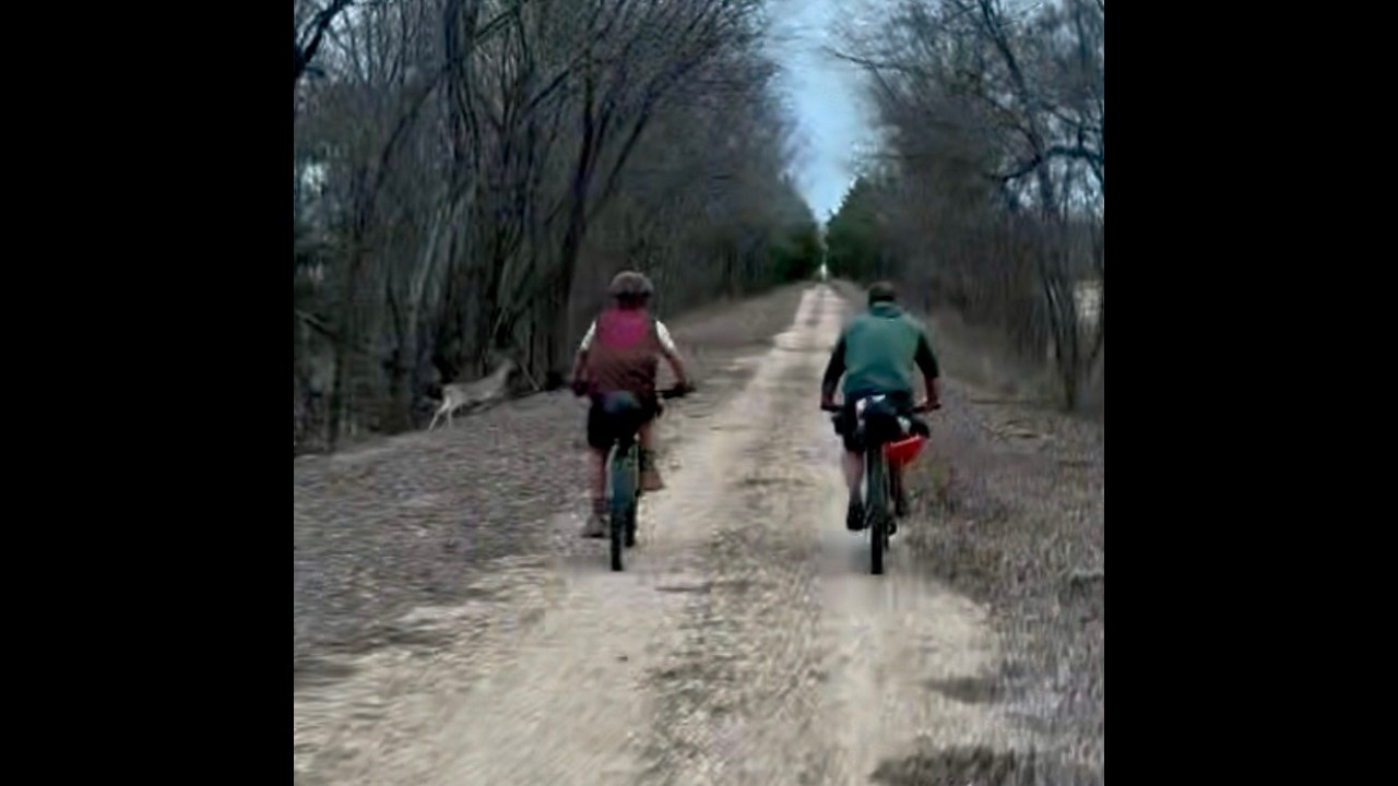 NETT Day 2, Deer, Bobcats, and Bike Flats