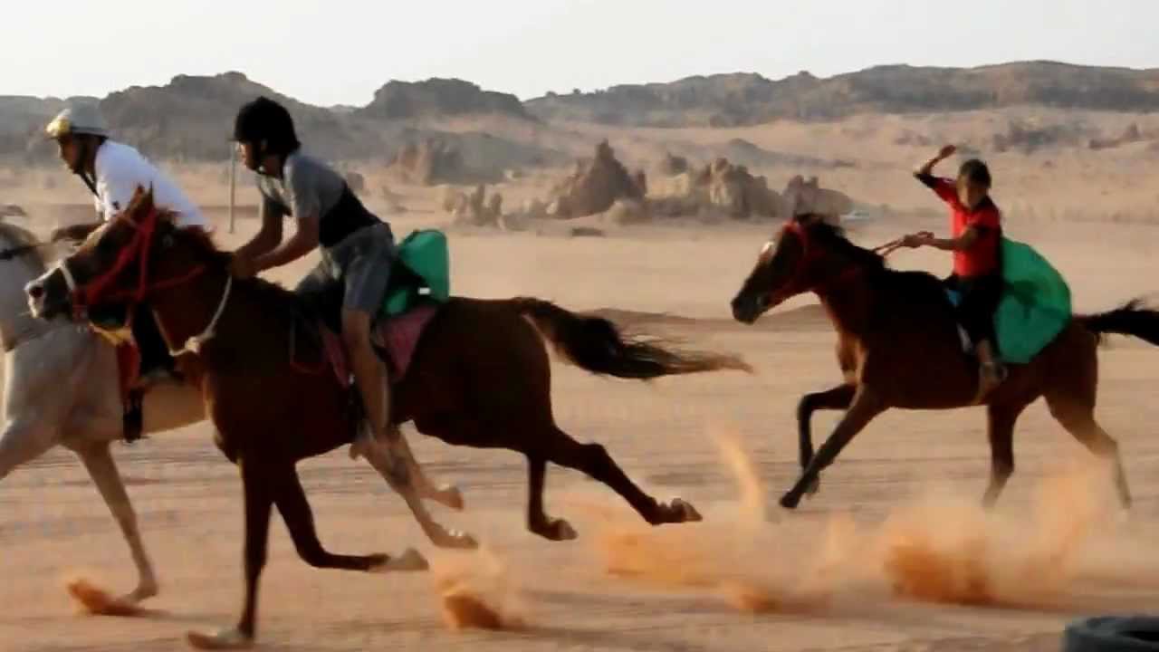 جائزة ميدان تبوك للفروسيه لعام 1433