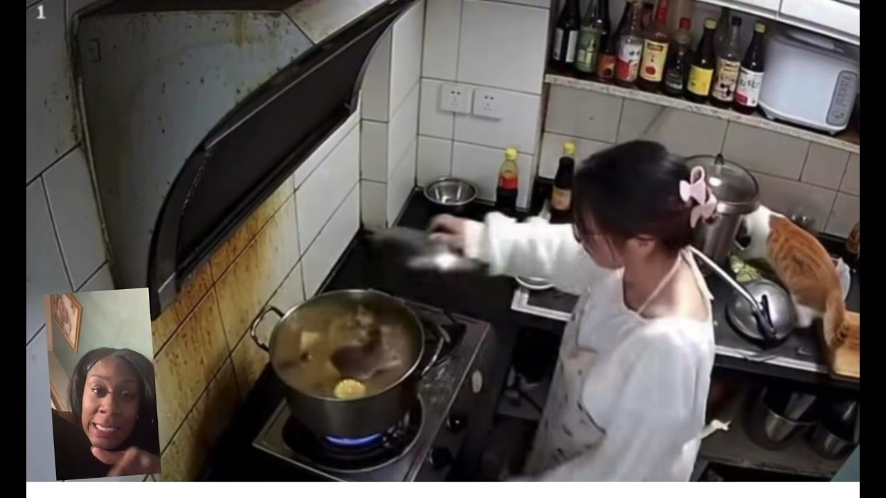 #laugh #animals #cooking #funny 