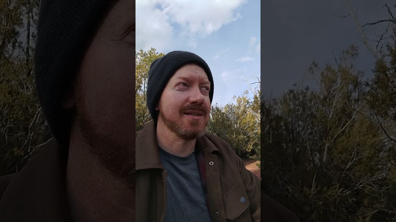 VLOG Sunday Update 2/11/2026