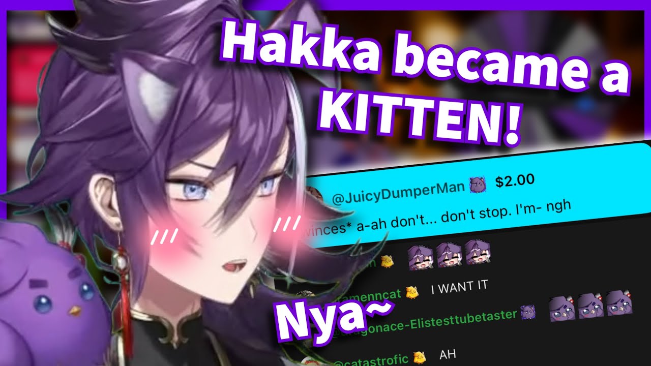 Hakka pulled out the KITTEN and DEBUT HAKKA ROLE PLAY!