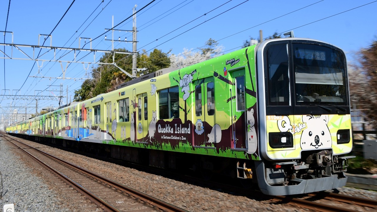 東上線有名撮影地の沿線に咲く梅、蝋梅（ロウバイ）と東武、東京メトロ、東急の車両が行きかう様子