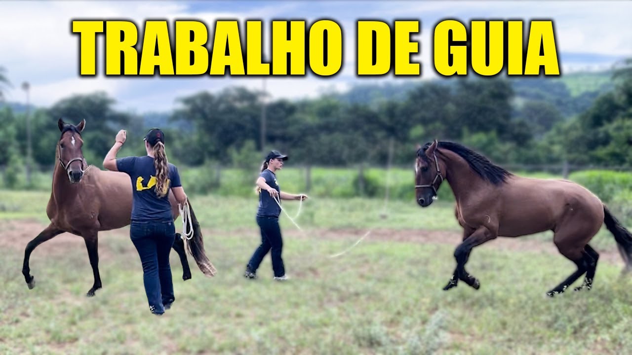 TRABALHO DE GUIA COM ARTIFÍCIO