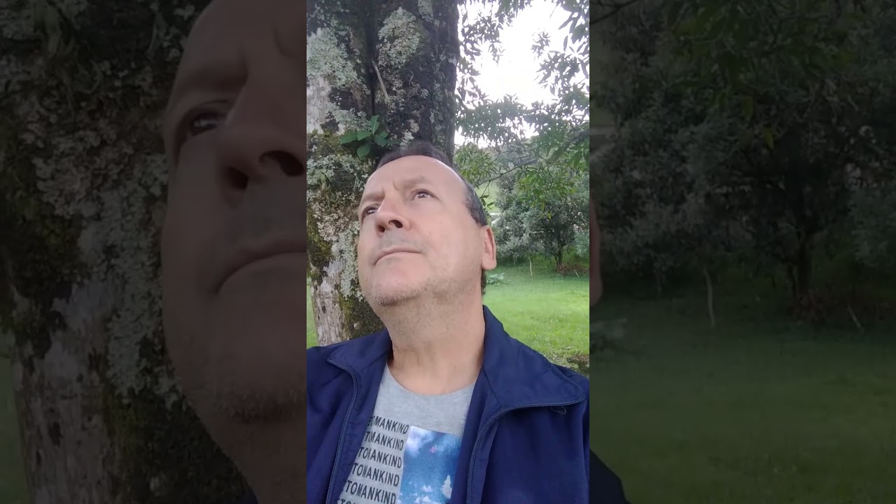 multidimensionalidade