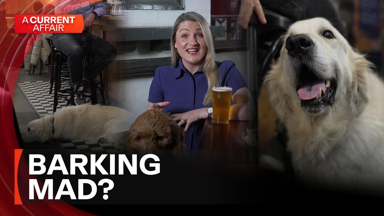 Local pub faces council crackdown over four-legged patrons  | A Current Affair