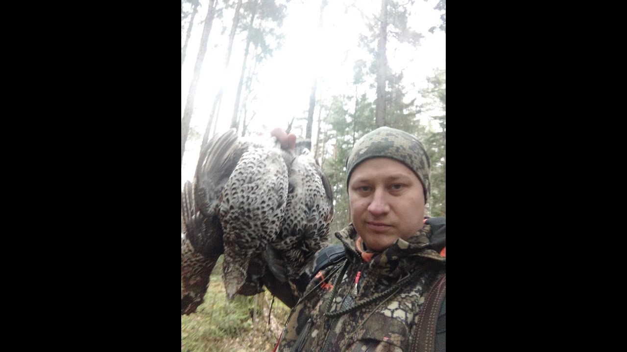 Охота на рябчика с манками. Осень 2021