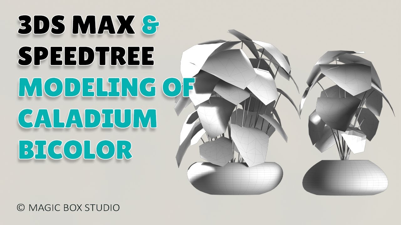 3ds max&speedtree Caladium bicolor modeling ǀ Part I