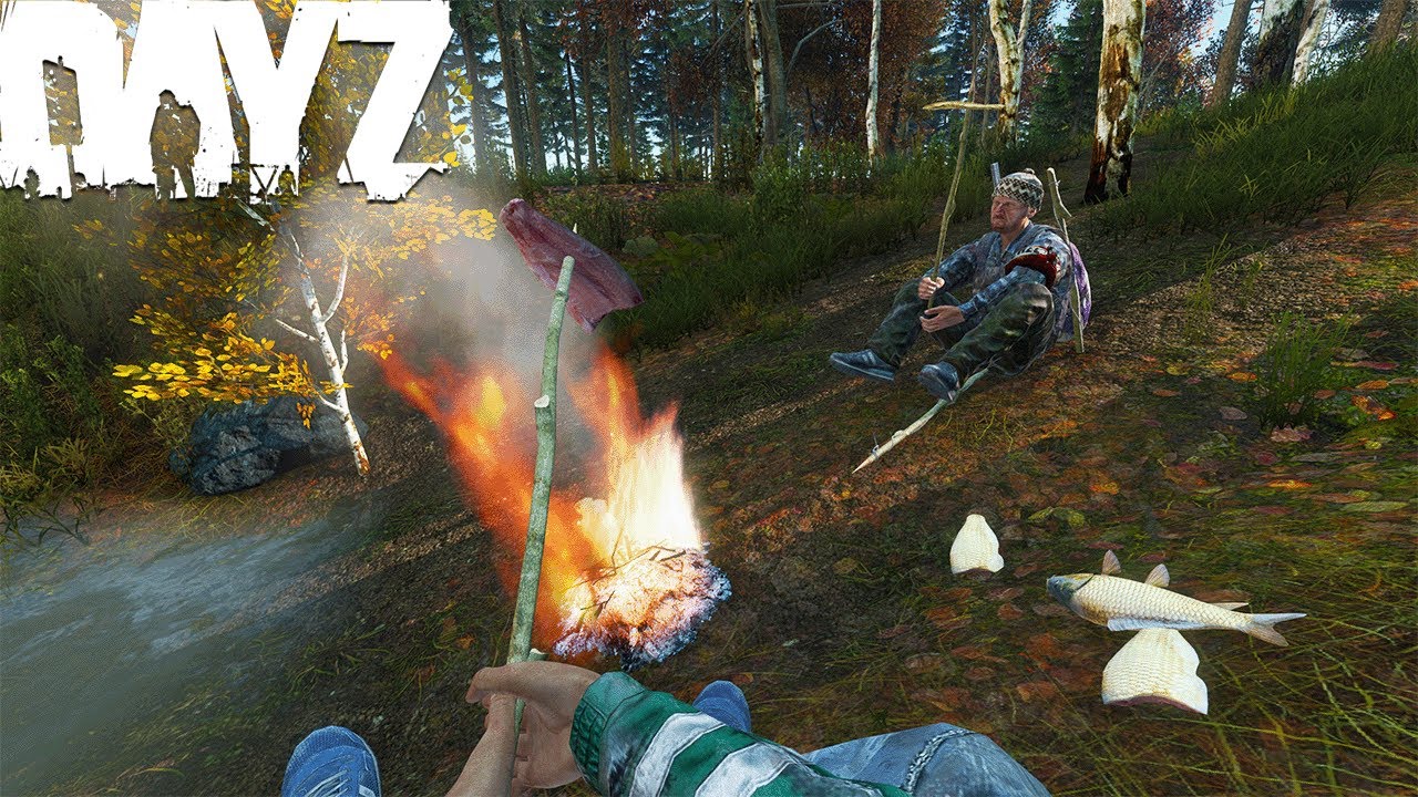 I Met A New DayZ Player And This Is What Happened…