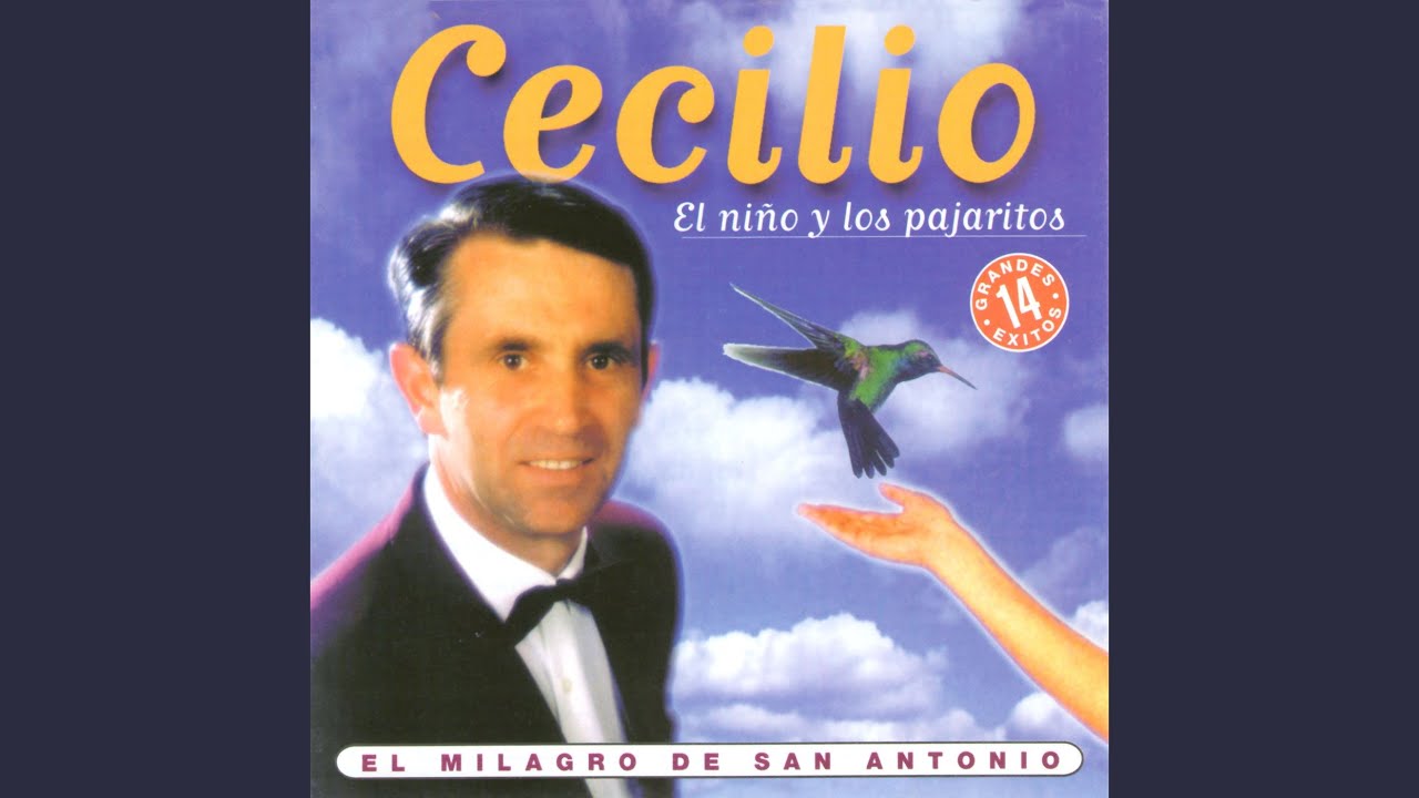 El Niño y los Pajaritos