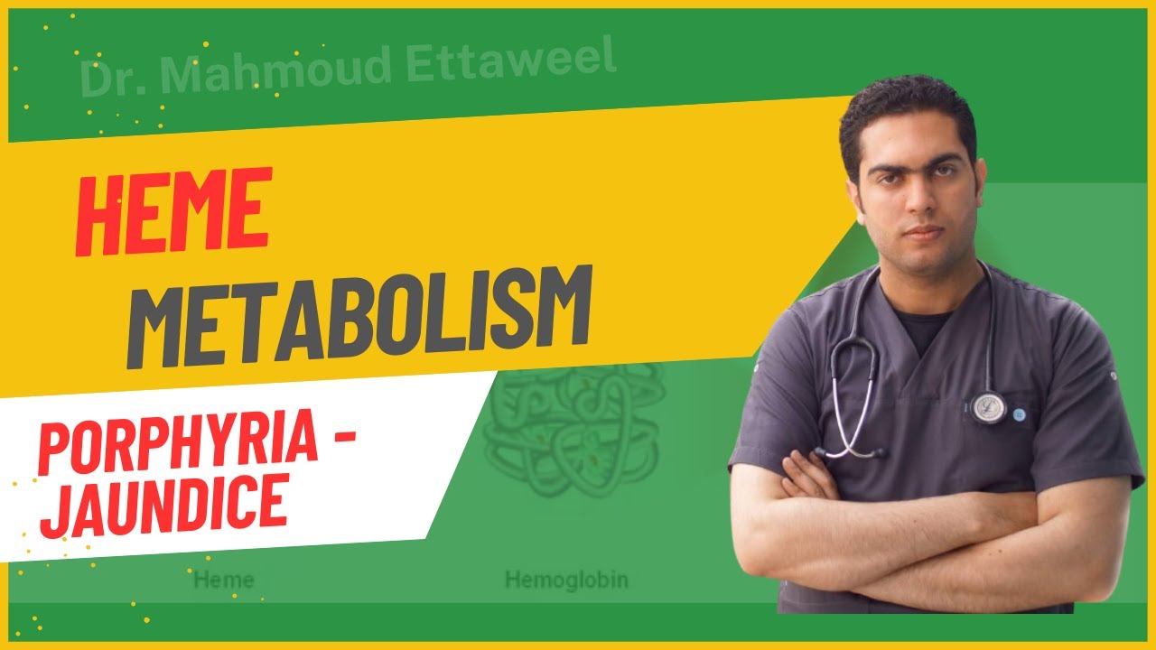 Heme Metabolism - Porphyria - Jaundice - Dr. Mahmoud Ettaweel