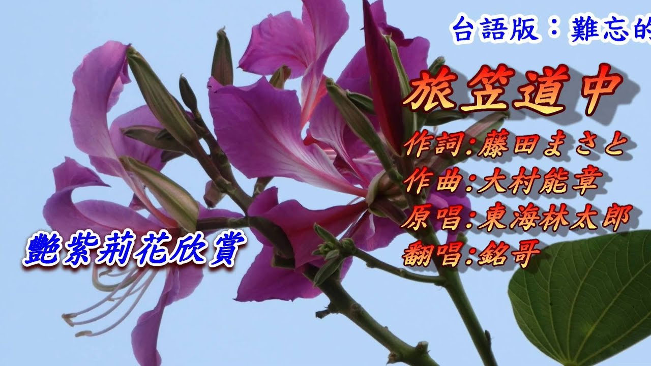 旅笠道中(戴斗笠旅行途中1935)(日語~東海林太郎+漢譯)銘哥翻唱
