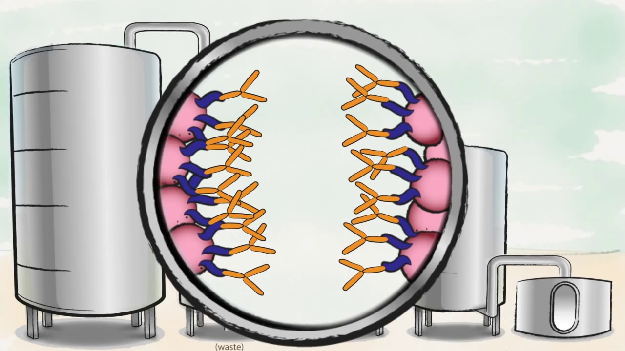 Biopharmaceutical production process