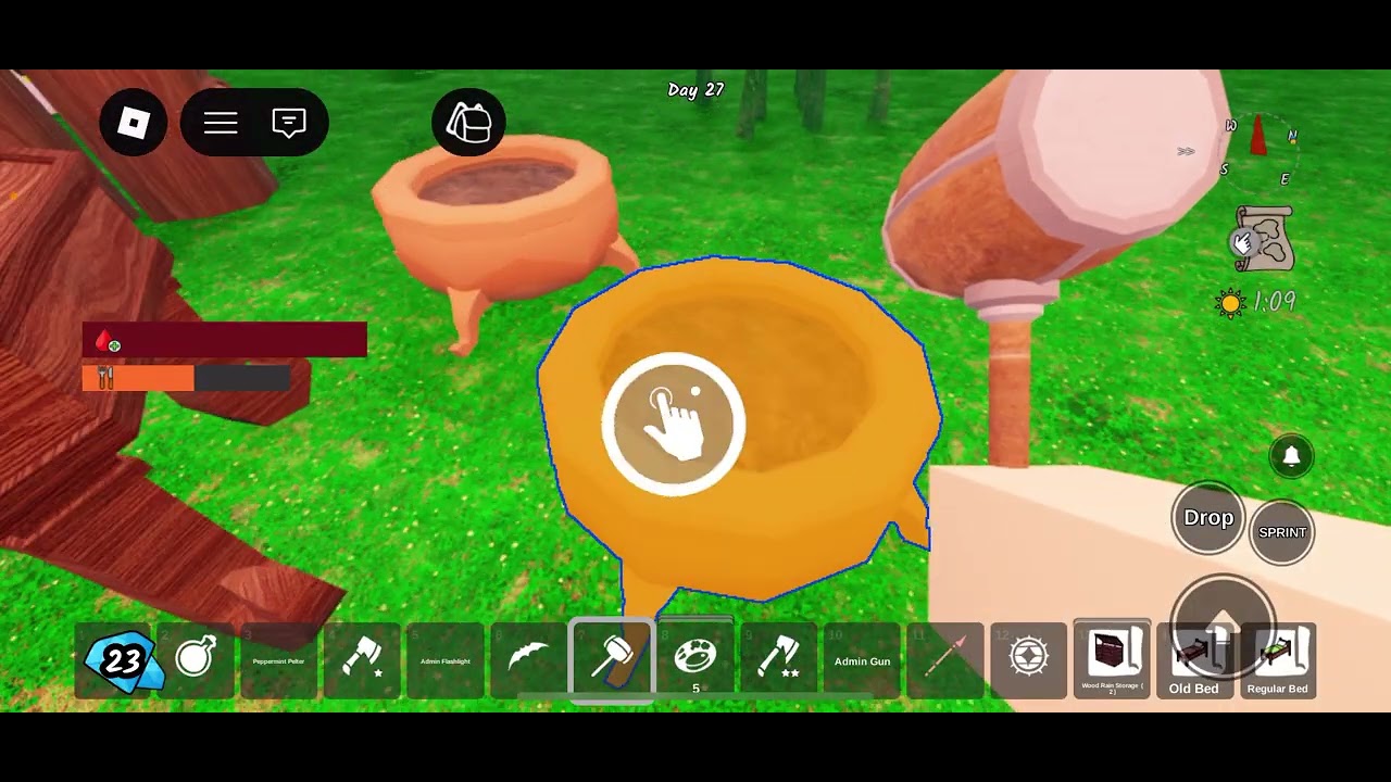 Jogando com meu primo 