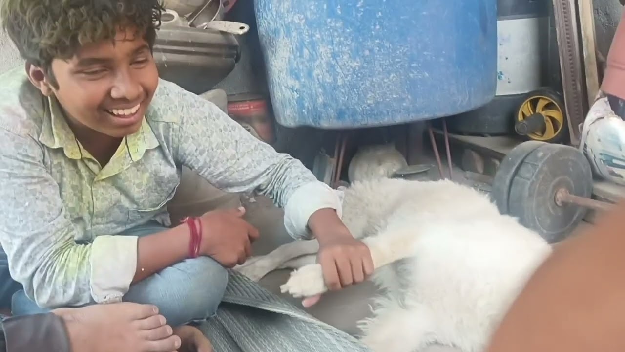  Vinay Ne Holi kheli 😊