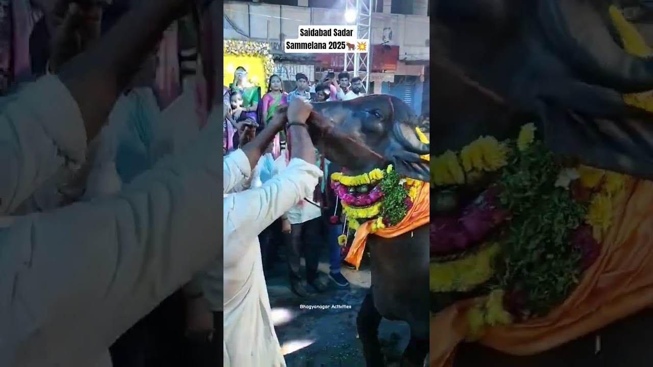 Saidabad Sadar Sammelana Sayyata 2025 |Saidabad Sadar|#shorts #saidabad #sadar #yadav
