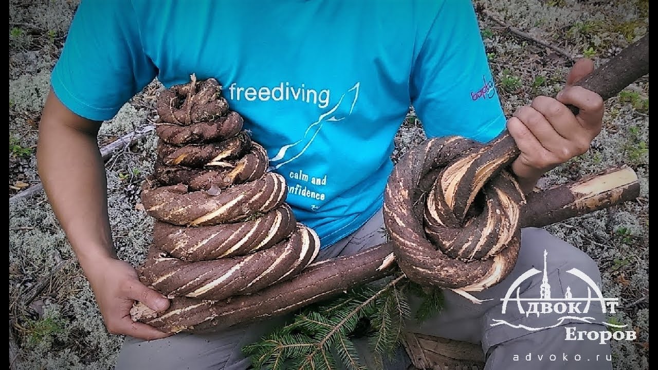 Making Tree into Rope - Loggers and Raftsmen Technique