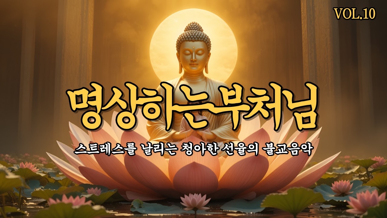 【 명상하는부처님 | 불교음악 】스트레스를 날리는 청아한 선율의 불교음악 1시간 트로트 찬불가 VOL.10 #불교음악 #불교노래모음 #불교음악모음 #찬불가 #명상하는부처님