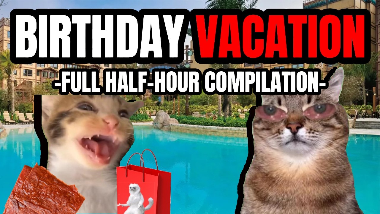 Cat MEMES: BIRTHDAY VACATION FULL HALF-HOUR COMPILATION | FAMILY VACATION