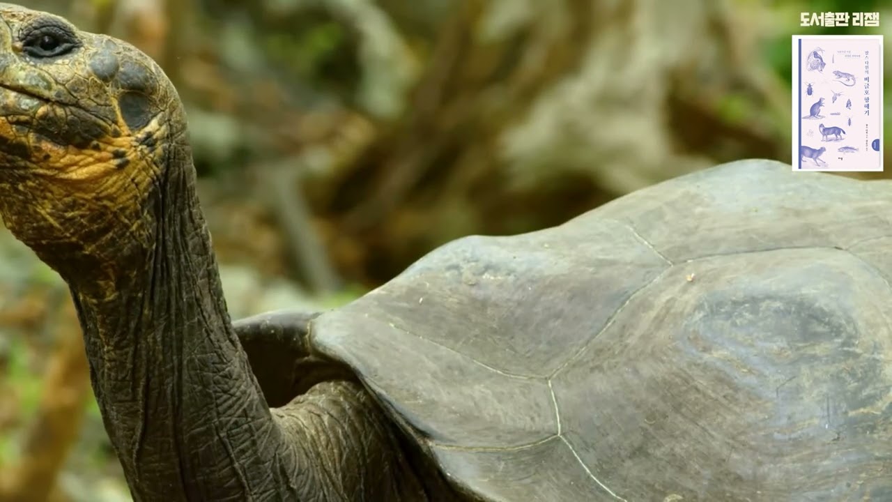 비글호항해기 #다윈 #장순근